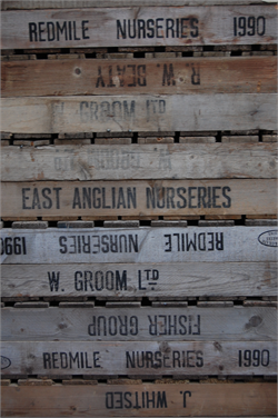 Apple Crates